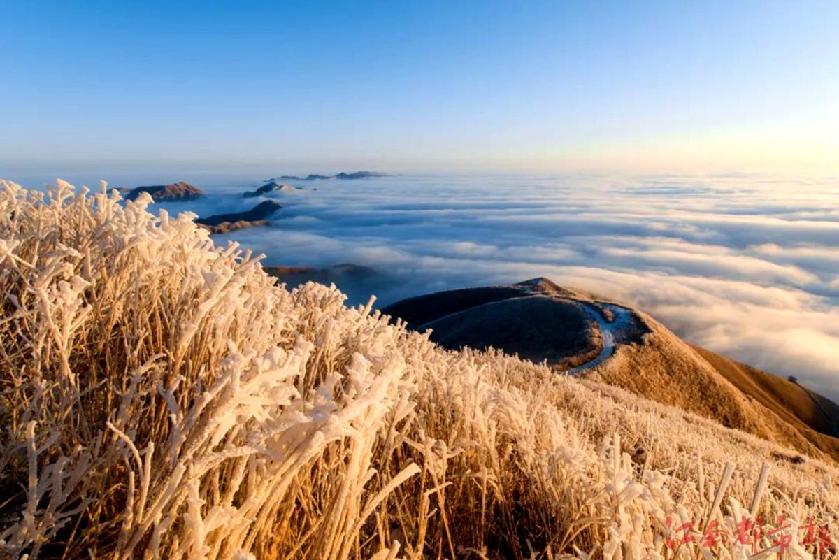 萍鄉(xiāng)武功山：霧凇云海，銀裝素裹